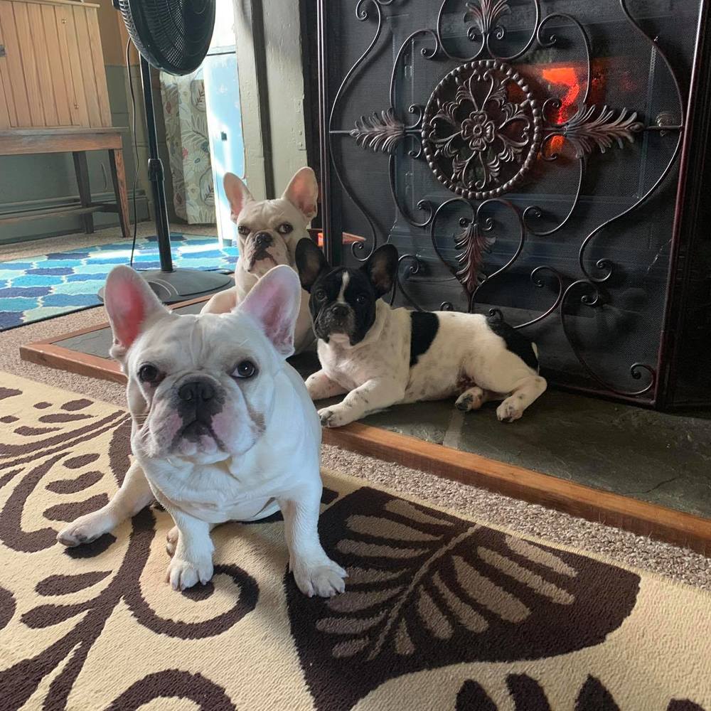 Meet your Posher, Traci